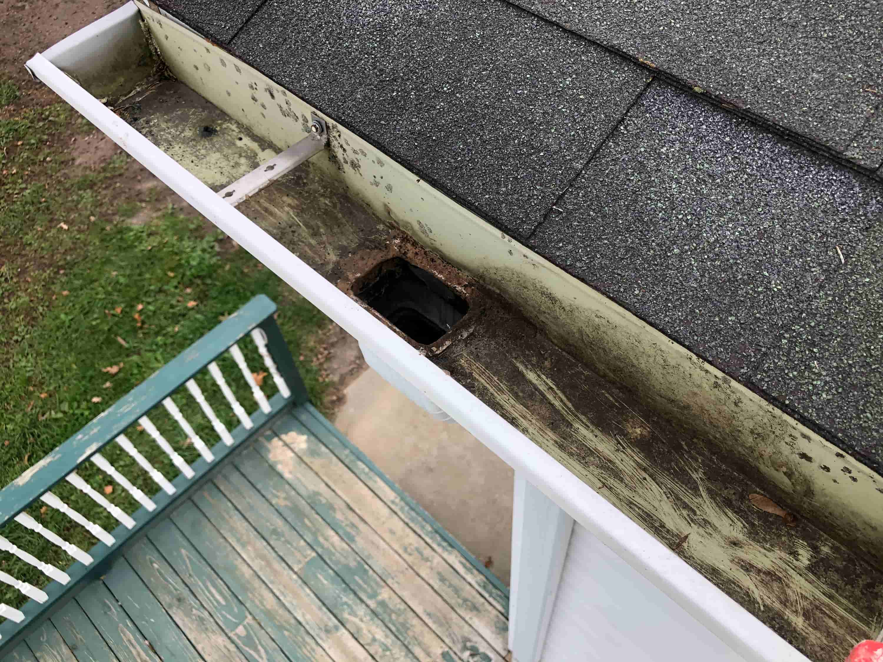 any gutter cleaned