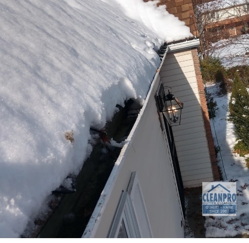roof gutter cleaning
