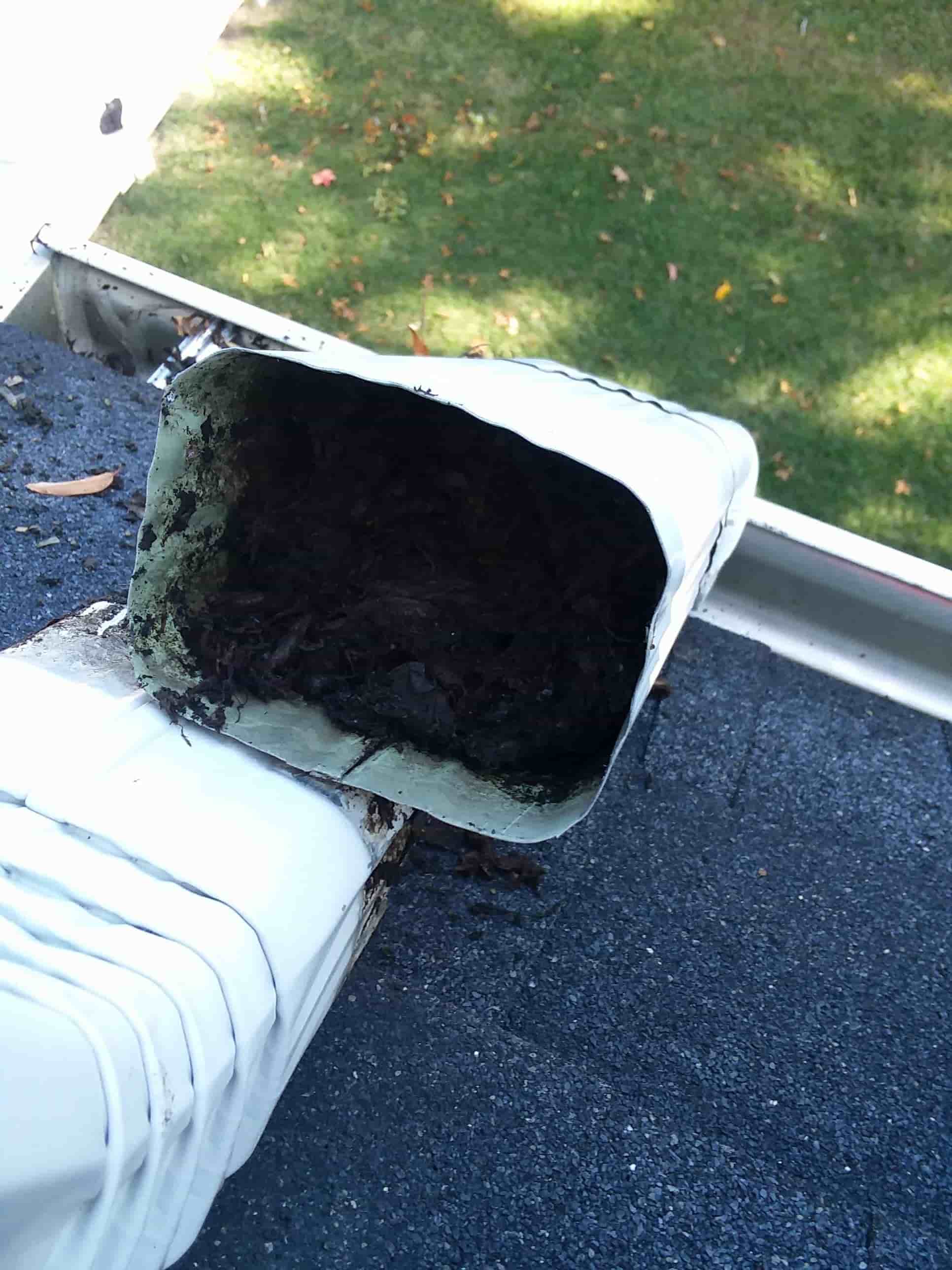 when to get gutters cleaned