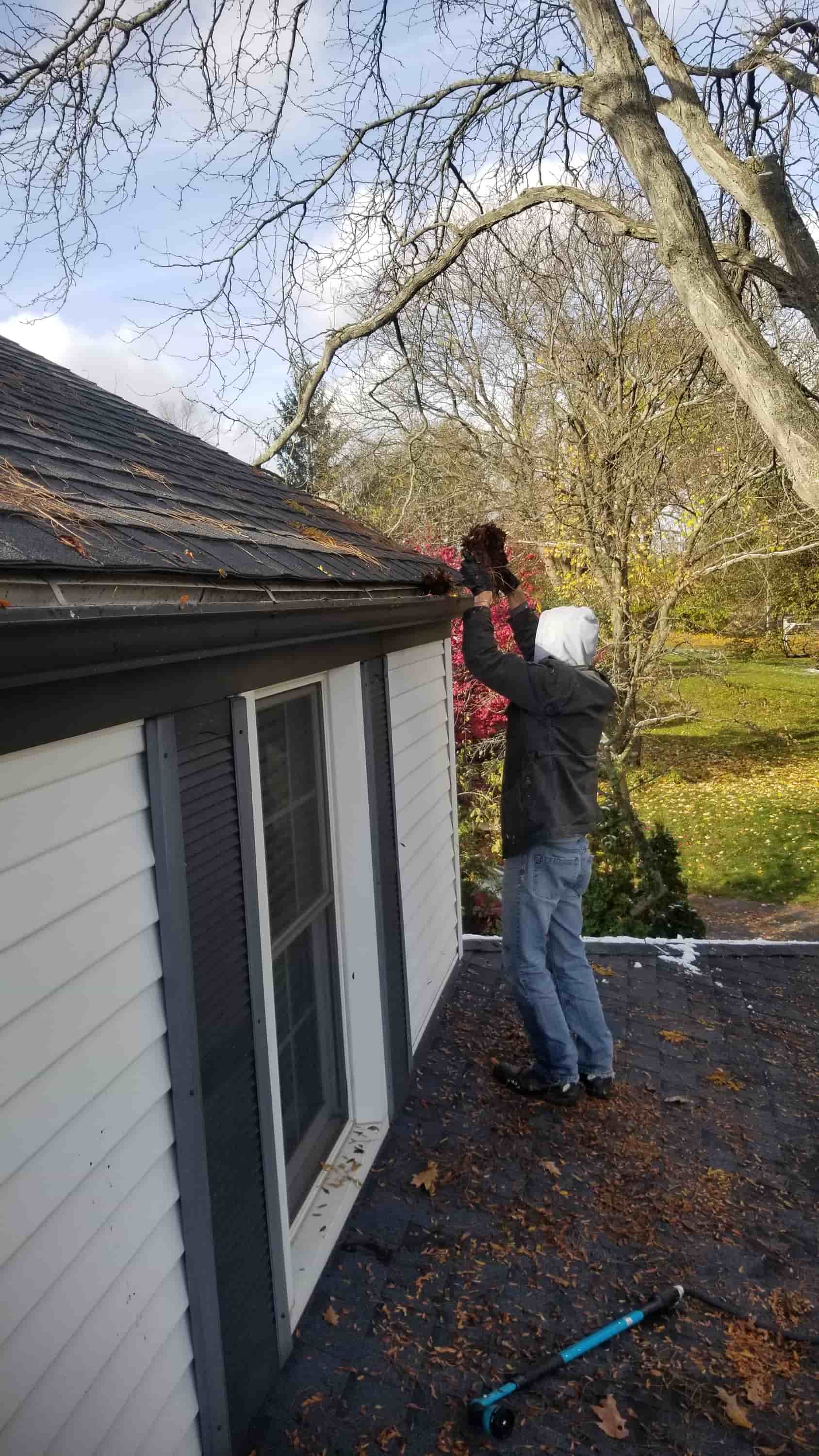 gutter cleaning companies