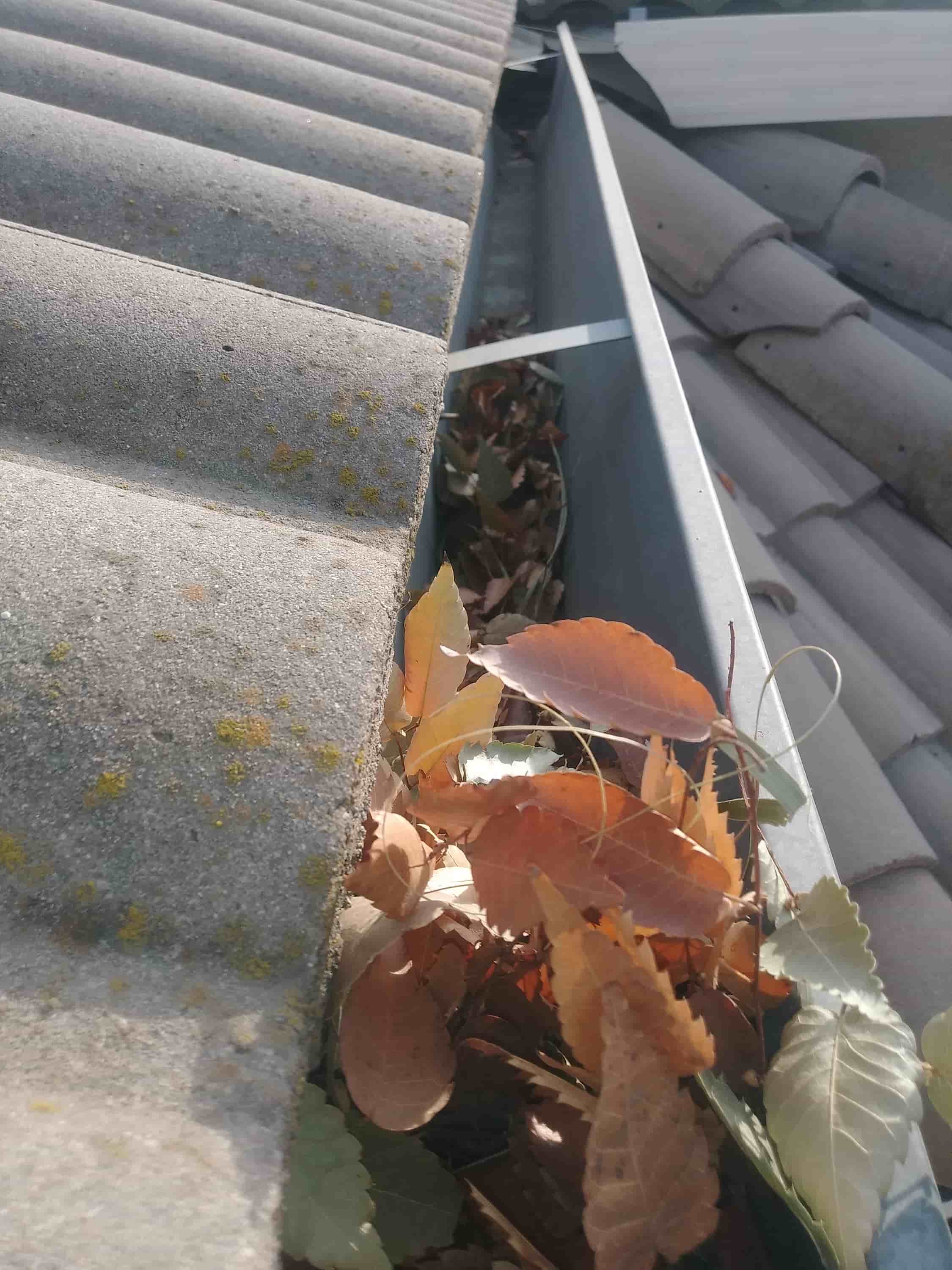 blower attachment for gutters