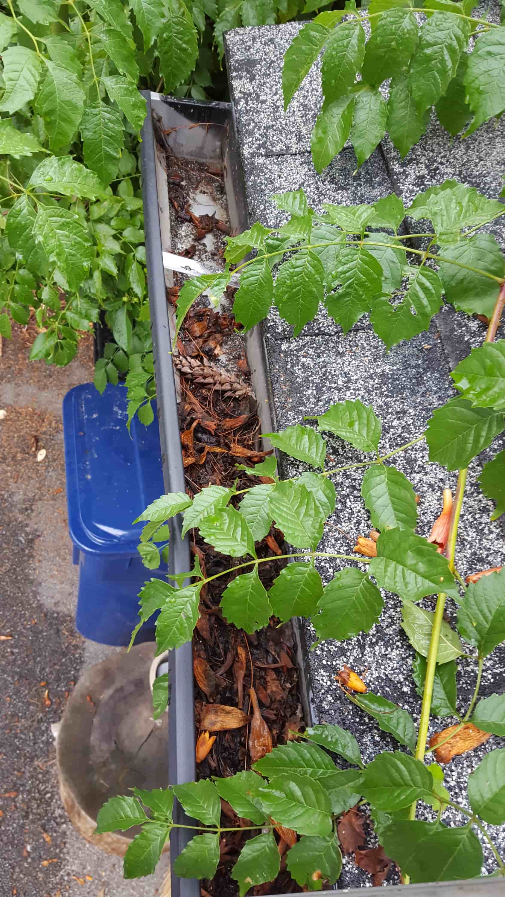 clean rain gutters from the ground