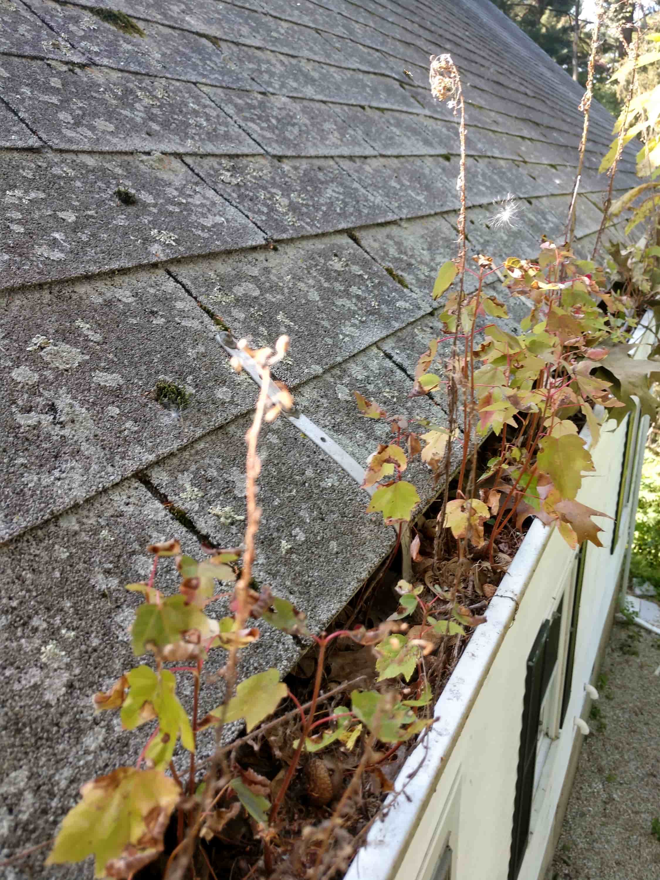 gutter cleaning system