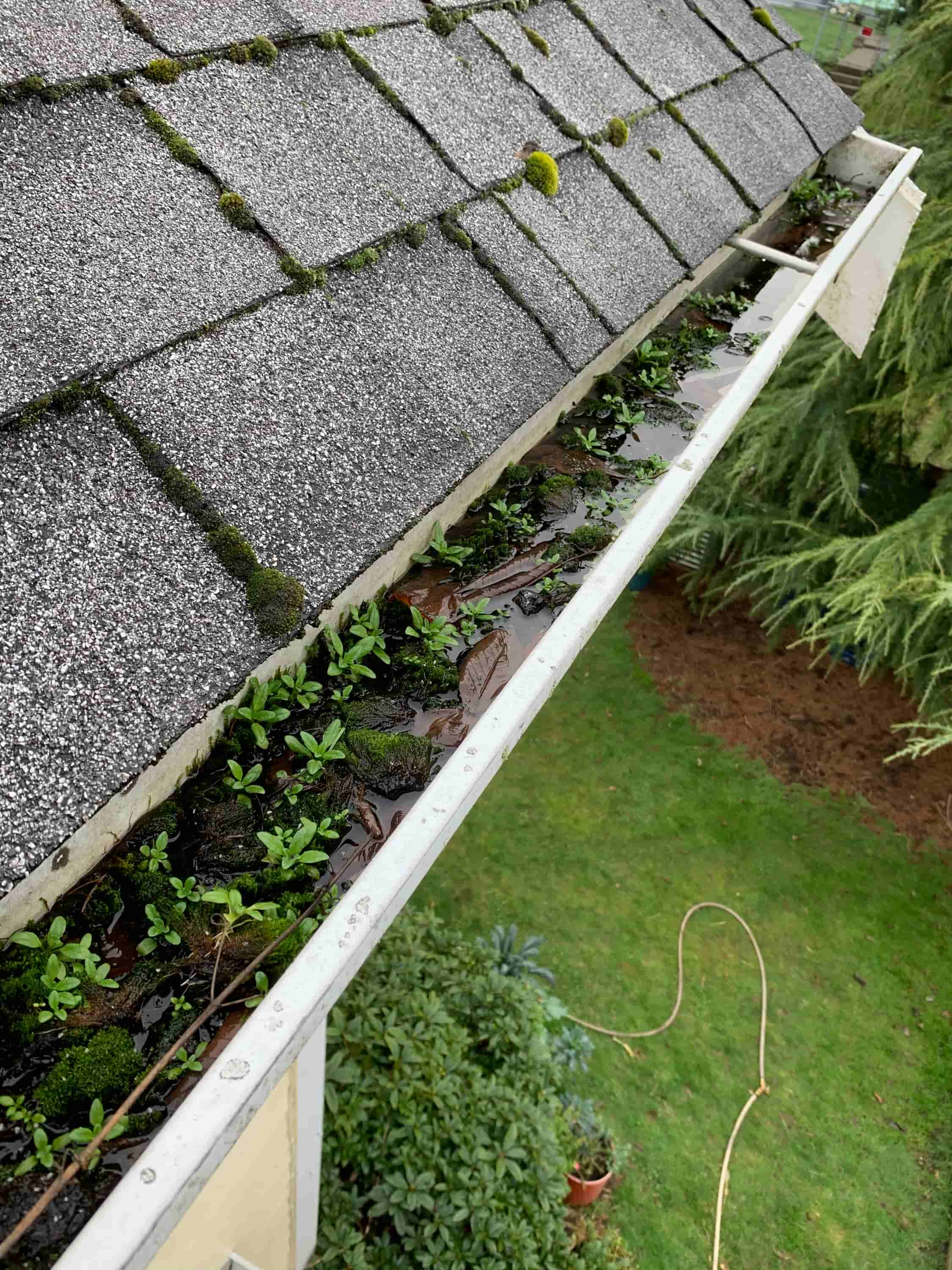 how to clean upvc guttering