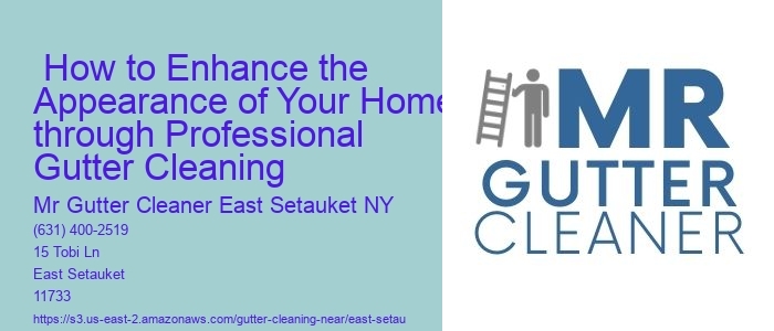  How to Enhance the Appearance of Your Home through Professional Gutter Cleaning