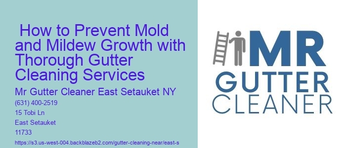  How to Prevent Mold and Mildew Growth with Thorough Gutter Cleaning Services