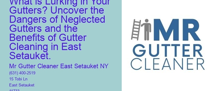What is Lurking in Your Gutters? Uncover the Dangers of Neglected Gutters and the Benefits of Gutter Cleaning in East Setauket.