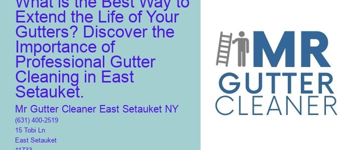What is the Best Way to Extend the Life of Your Gutters? Discover the Importance of Professional Gutter Cleaning in East Setauket.
