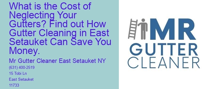 What is the Cost of Neglecting Your Gutters? Find out How Gutter Cleaning in East Setauket Can Save You Money.