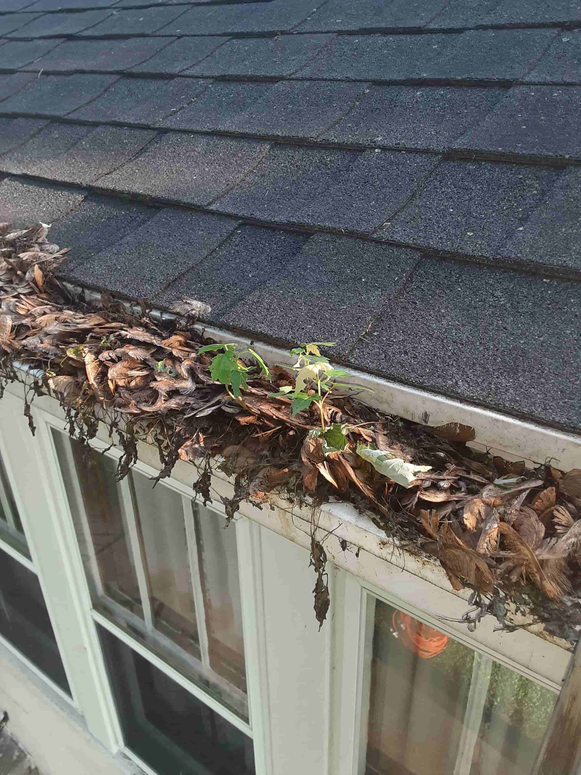 water gutter cleaner