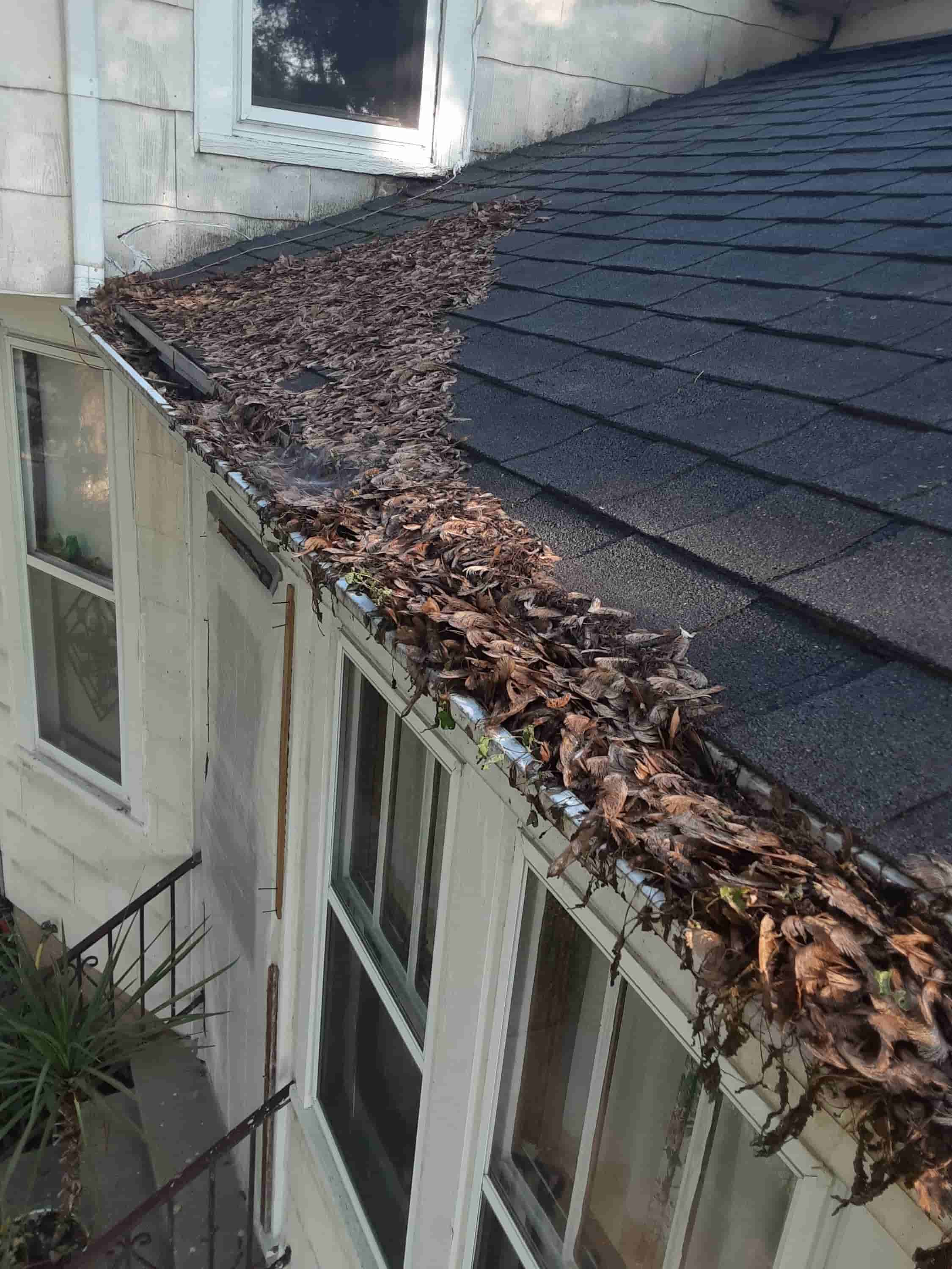 gutter clean out