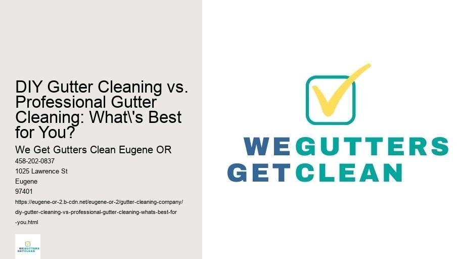 DIY Gutter Cleaning vs. Professional Gutter Cleaning: What's Best for You?