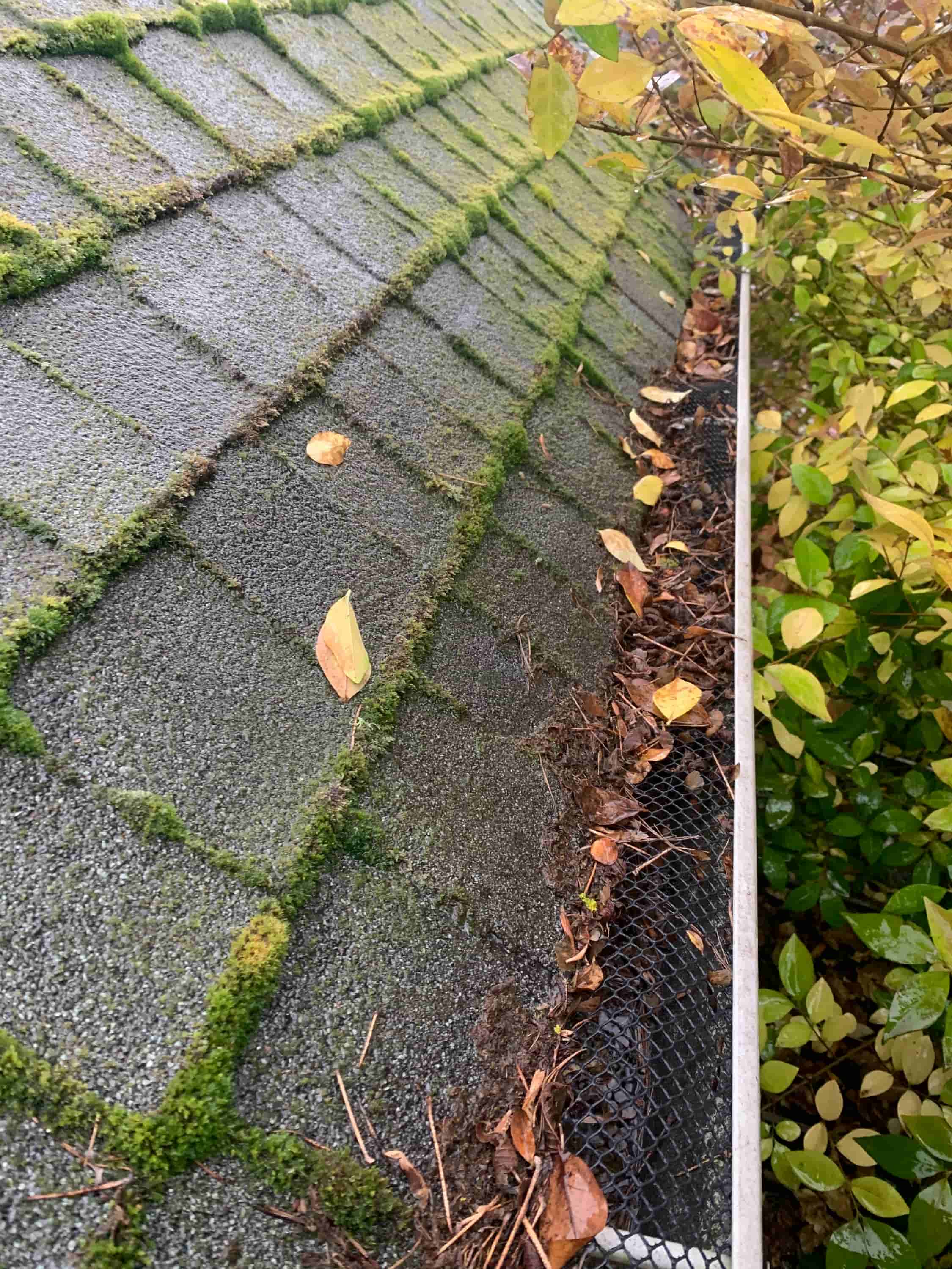 gutter cleaning from ground level