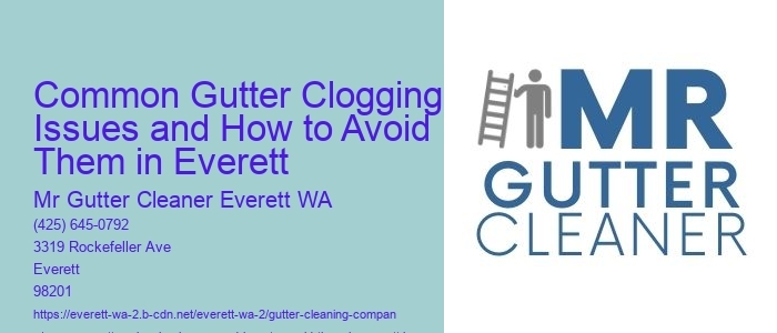 Common Gutter Clogging Issues and How to Avoid Them in Everett 