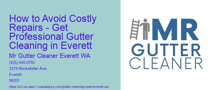 How to Avoid Costly Repairs - Get Professional Gutter Cleaning in Everett 