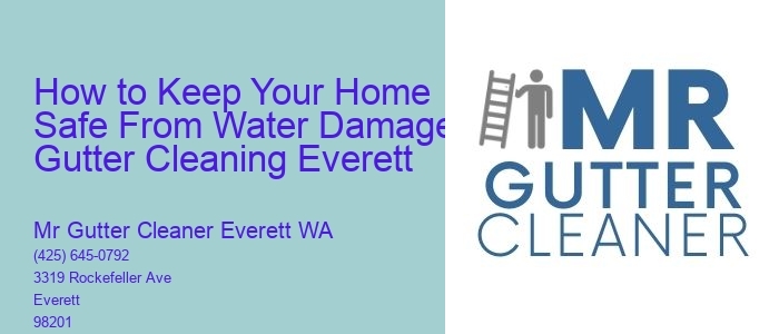 How to Keep Your Home Safe From Water Damage: Gutter Cleaning Everett 