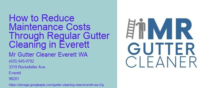 How to Reduce Maintenance Costs Through Regular Gutter Cleaning in Everett 
