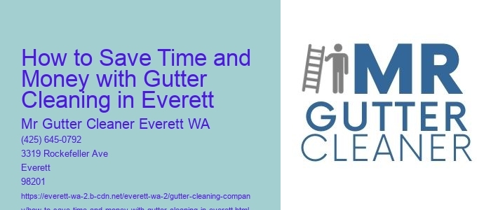 How to Save Time and Money with Gutter Cleaning in Everett 