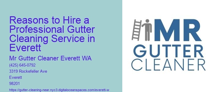 Reasons to Hire a Professional Gutter Cleaning Service in Everett 