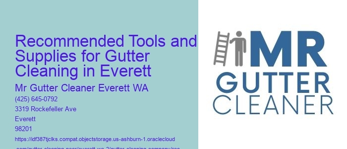 Recommended Tools and Supplies for Gutter Cleaning in Everett 