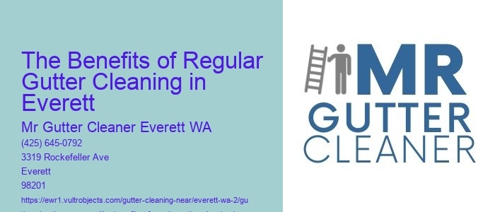The Benefits of Regular Gutter Cleaning in Everett 