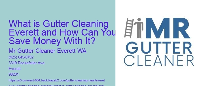 What is Gutter Cleaning Everett and How Can You Save Money With It? 