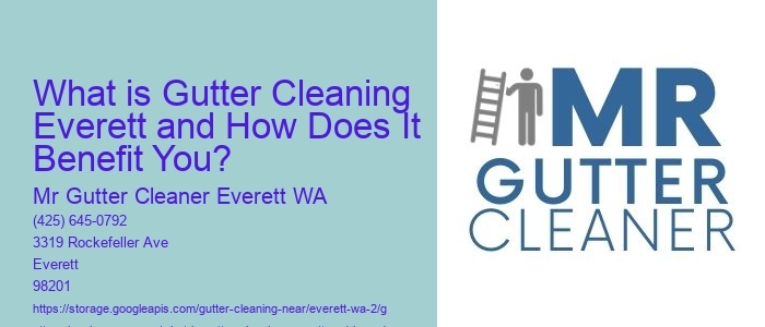 What is Gutter Cleaning Everett and How Does It Benefit You? 