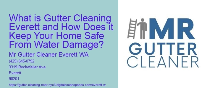 What is Gutter Cleaning Everett and How Does it Keep Your Home Safe From Water Damage? 