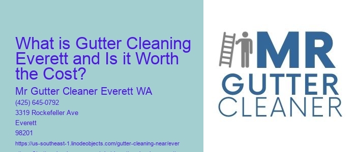 What is Gutter Cleaning Everett and Is it Worth the Cost? 
