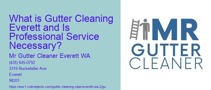 What is Gutter Cleaning Everett and Is Professional Service Necessary?