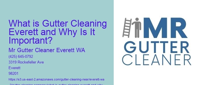 What is Gutter Cleaning Everett and Why Is It Important? 