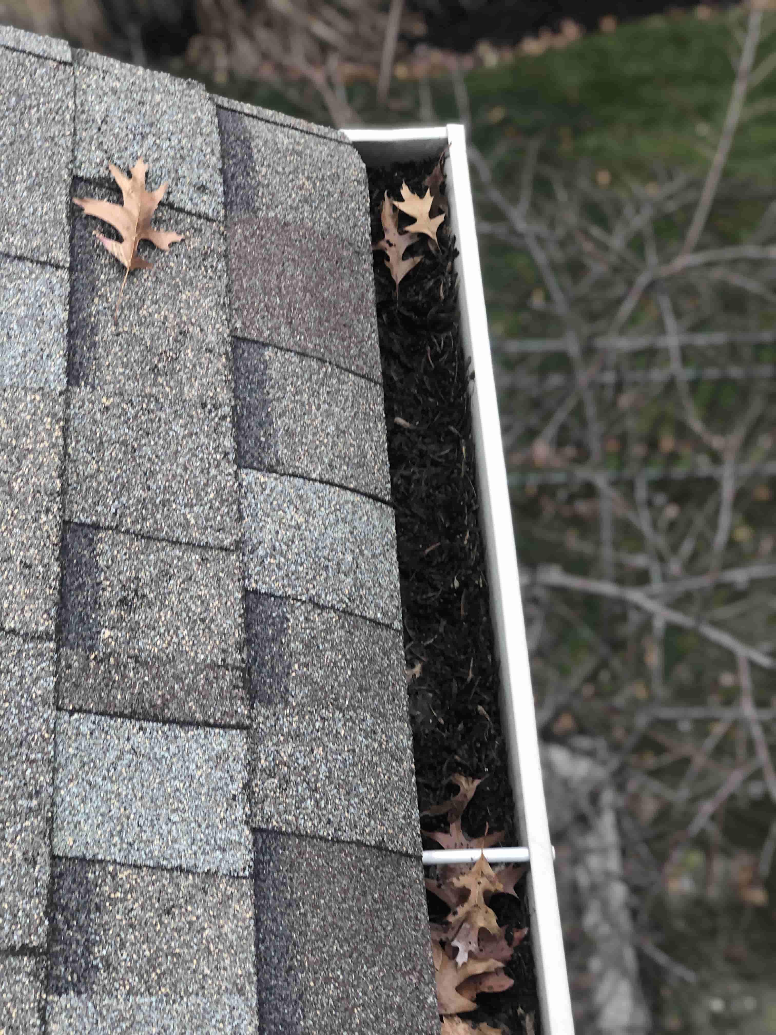 best gutter cleaning
