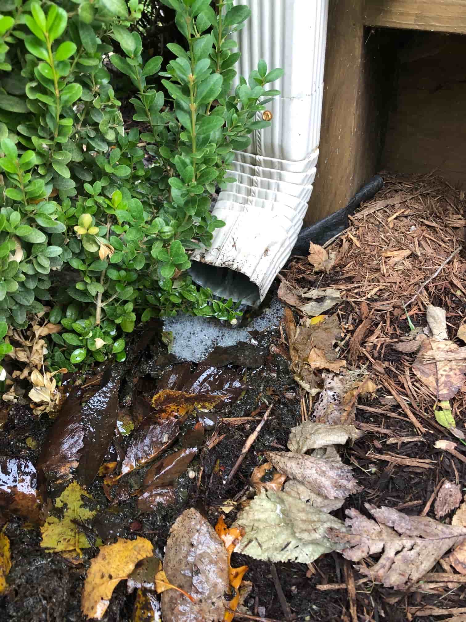 hose extension to clean gutters
