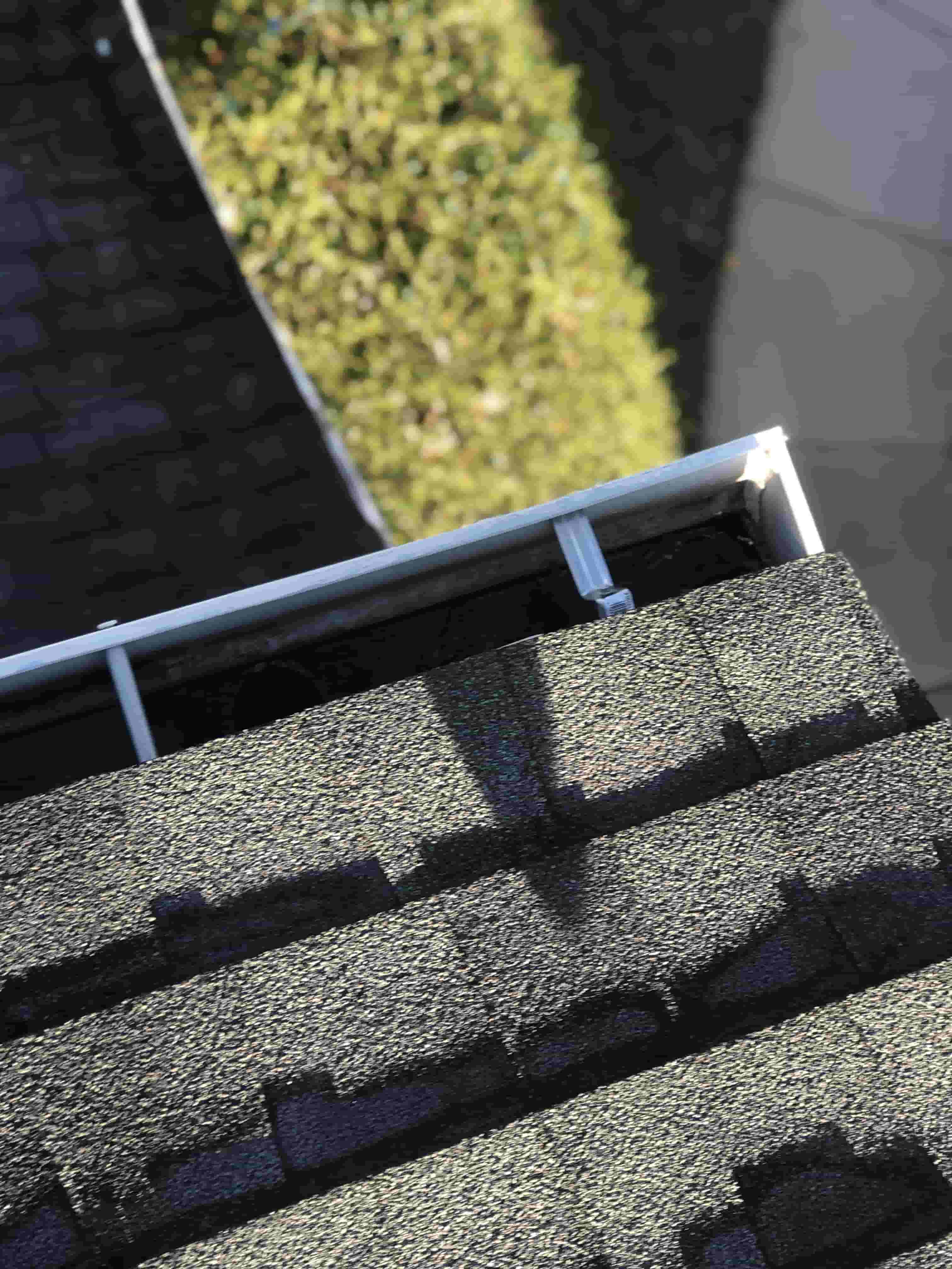 gutter cleaning services cost