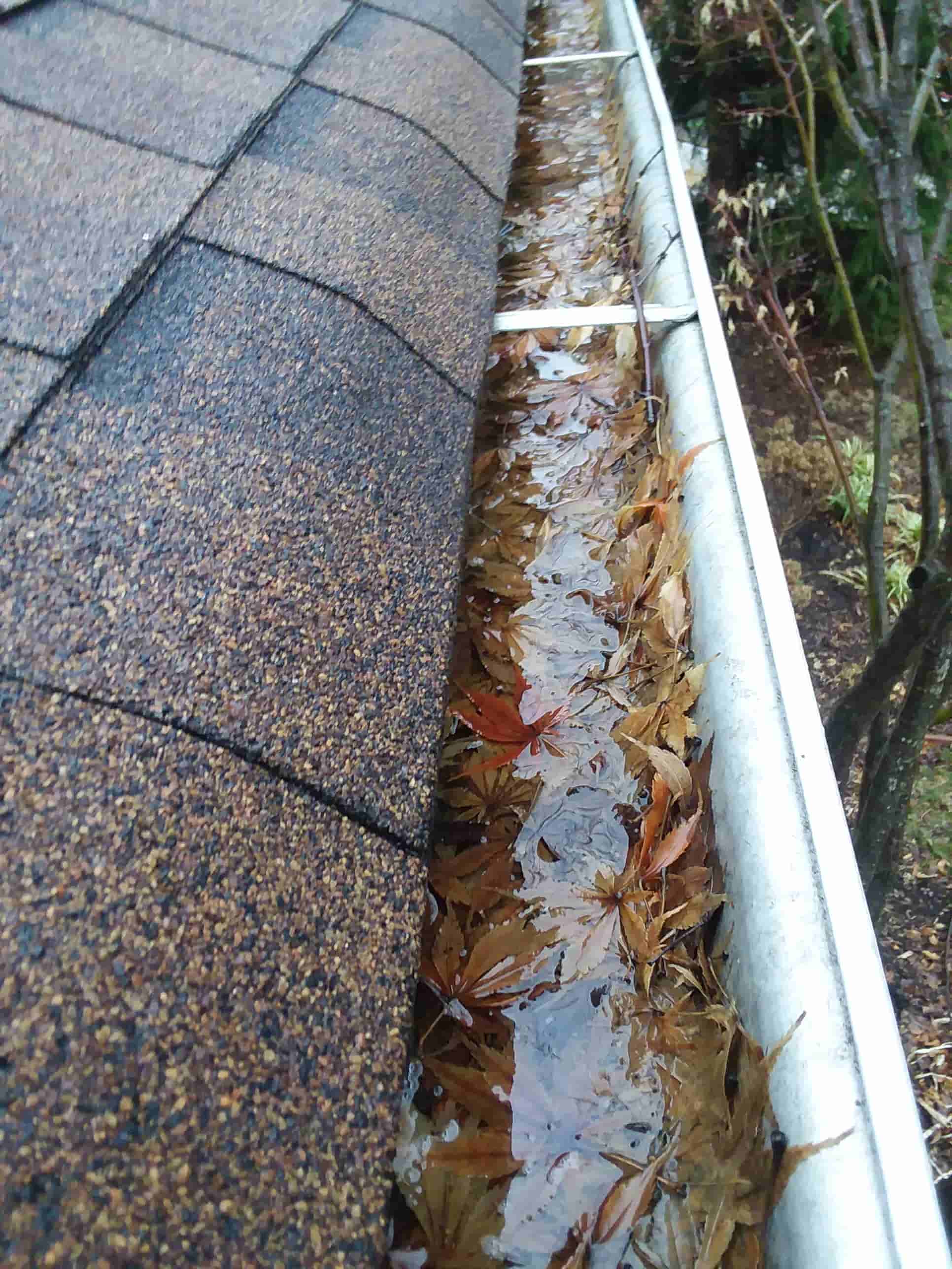 clean rain gutter