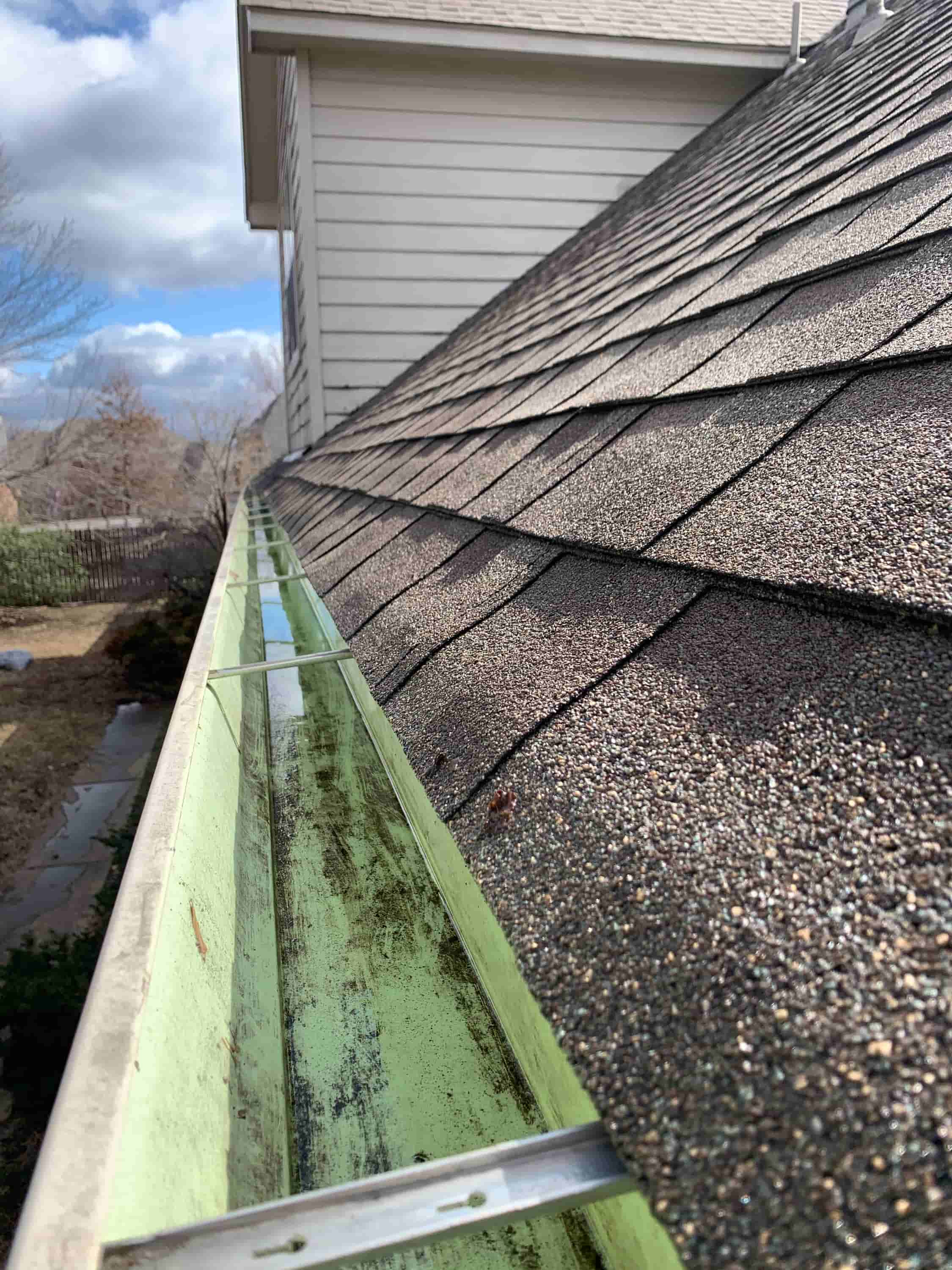 companies that clean gutters