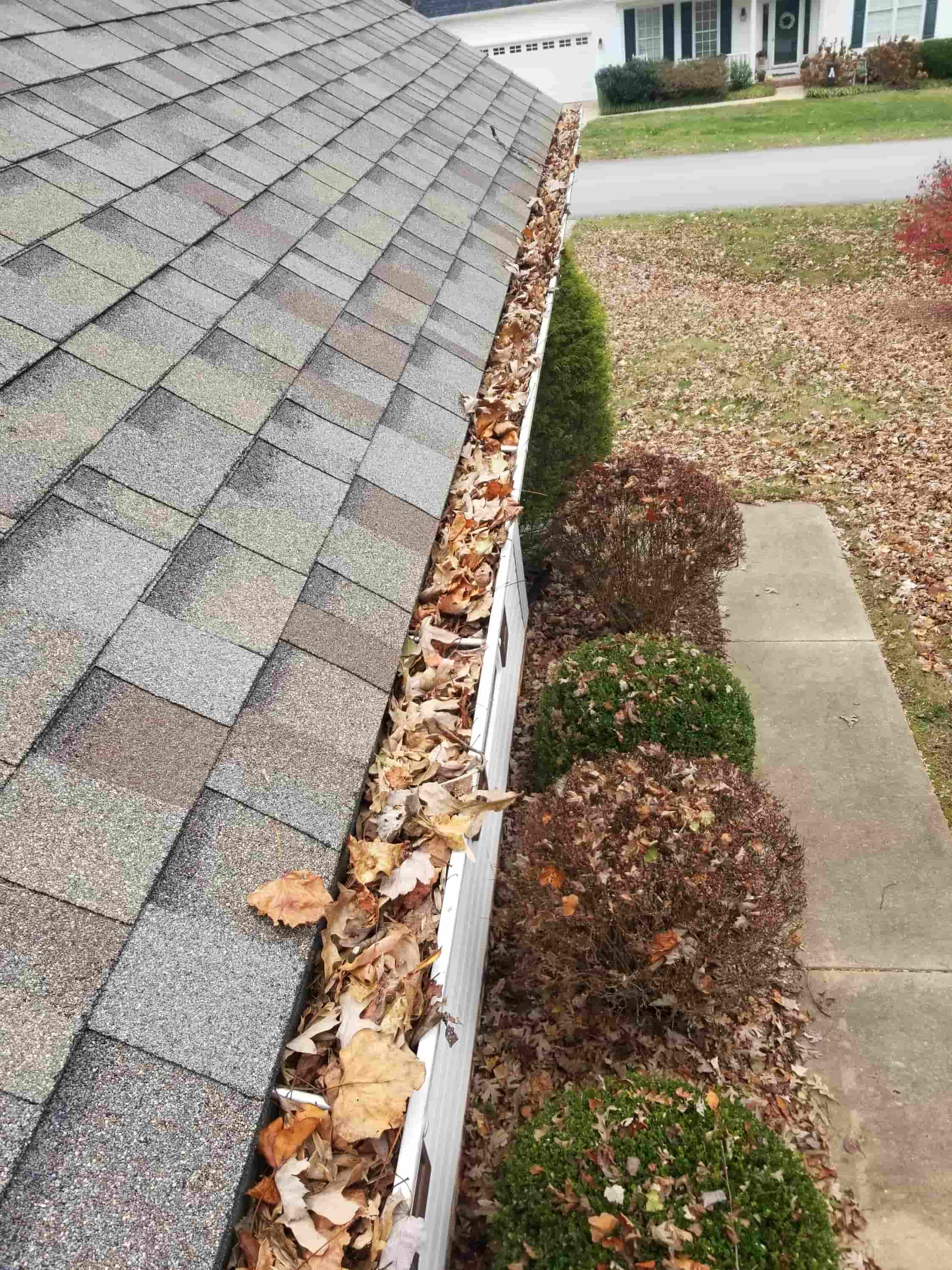 how to clean box gutters
