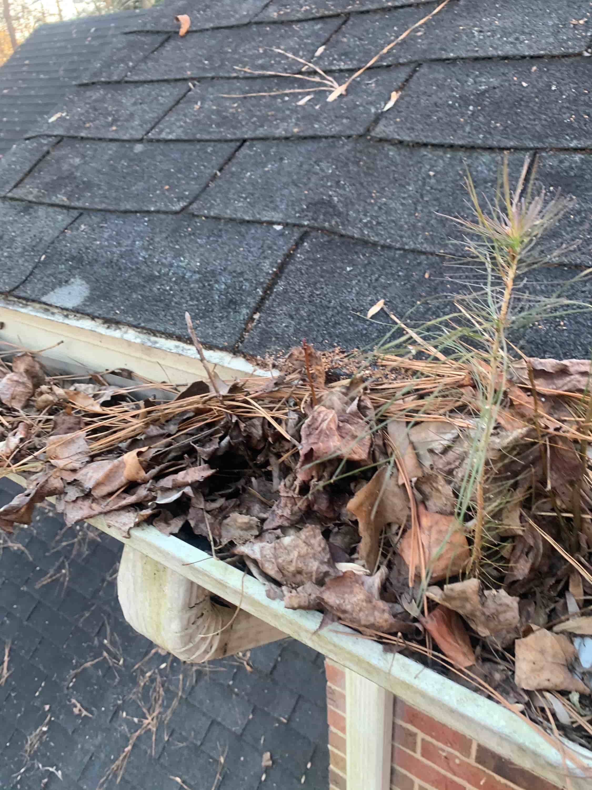how to clean gutter from ground