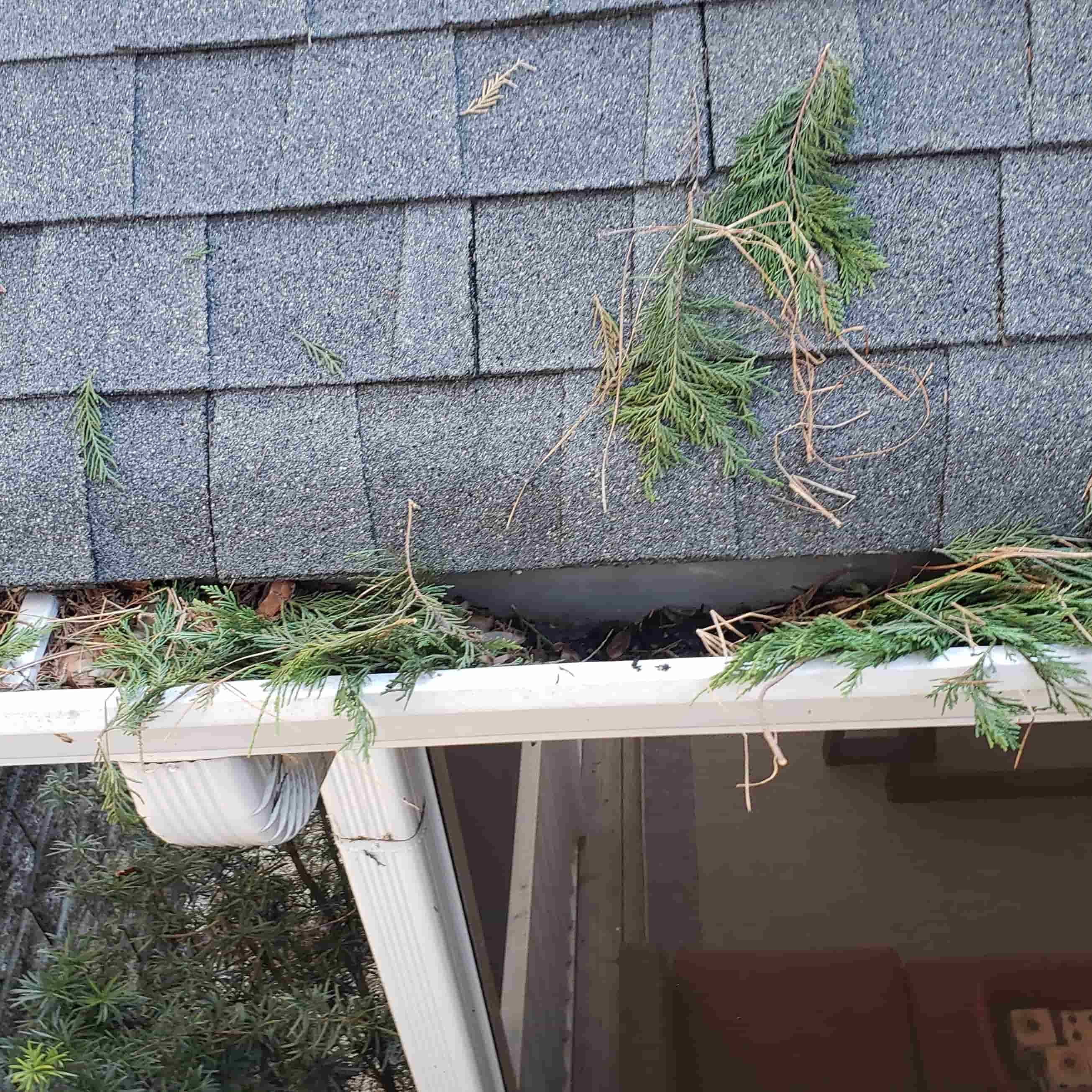 cost to clean gutters