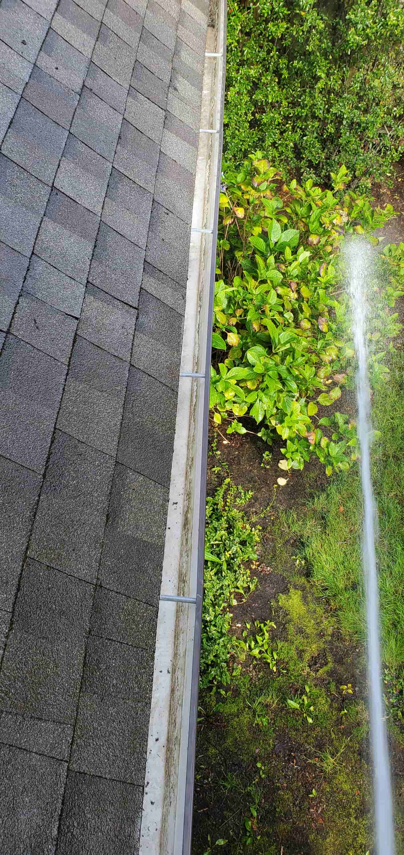 roof gutter cleaning cost