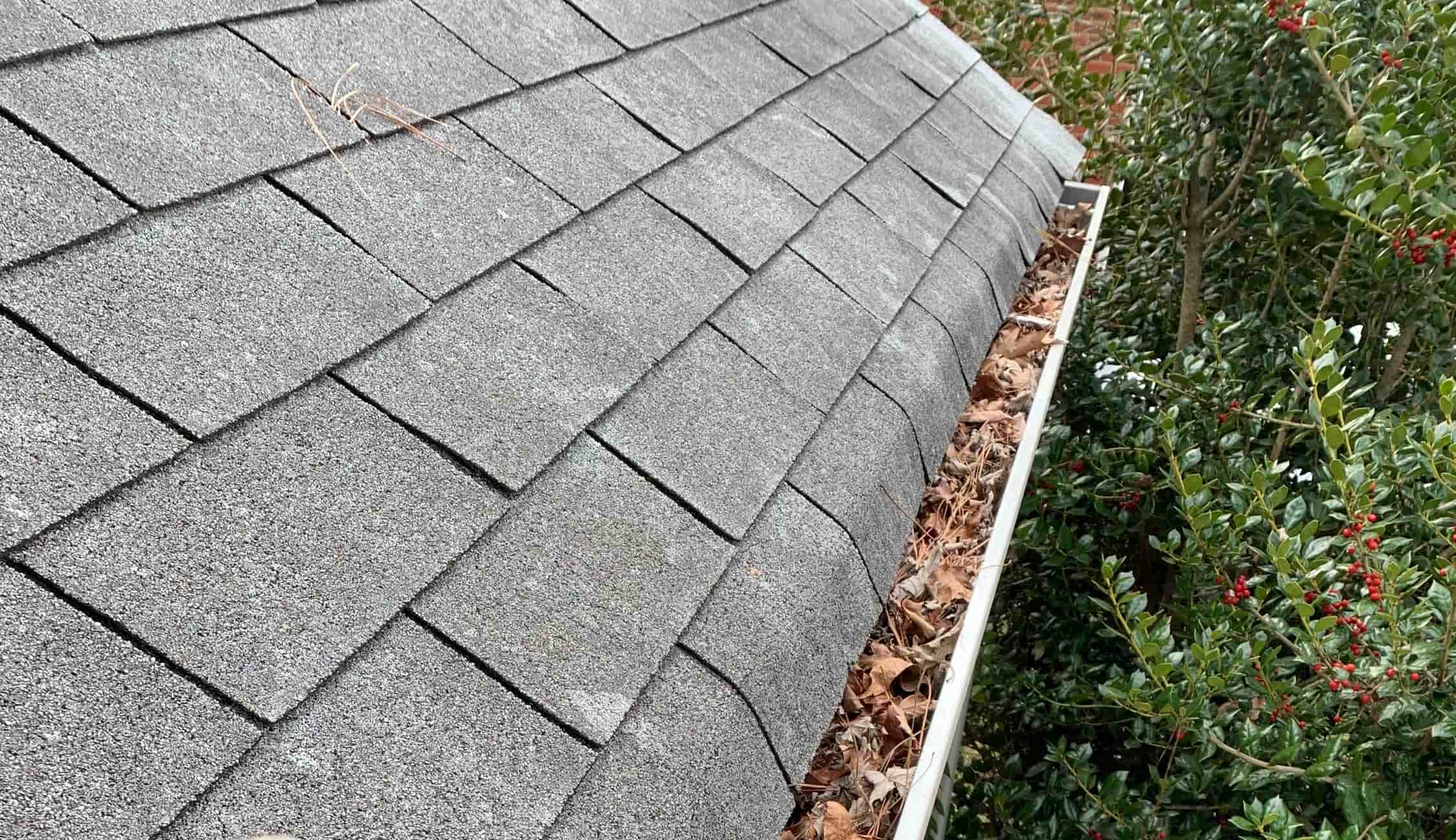 clean gutter cost