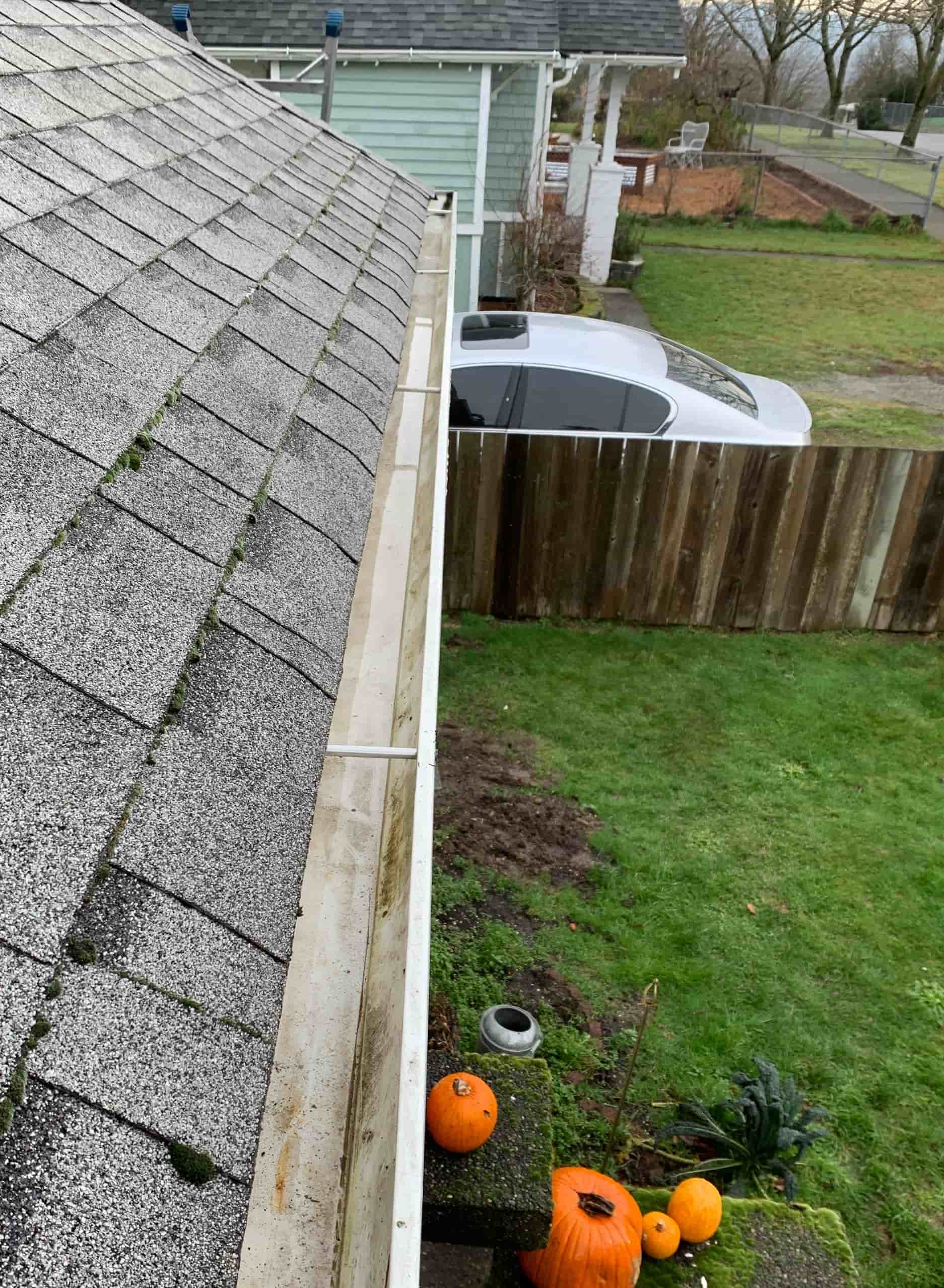 how much should gutter cleaning cost