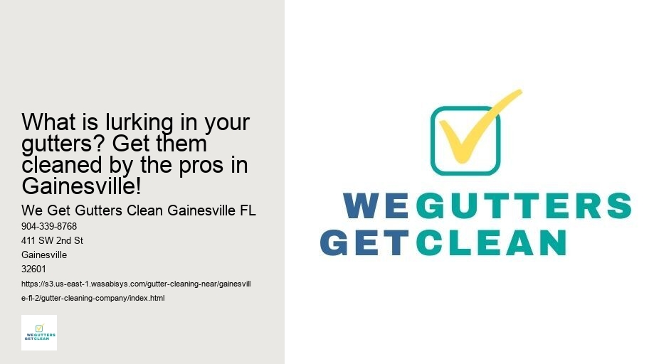 What is lurking in your gutters? Get them cleaned by the pros in Gainesville!
