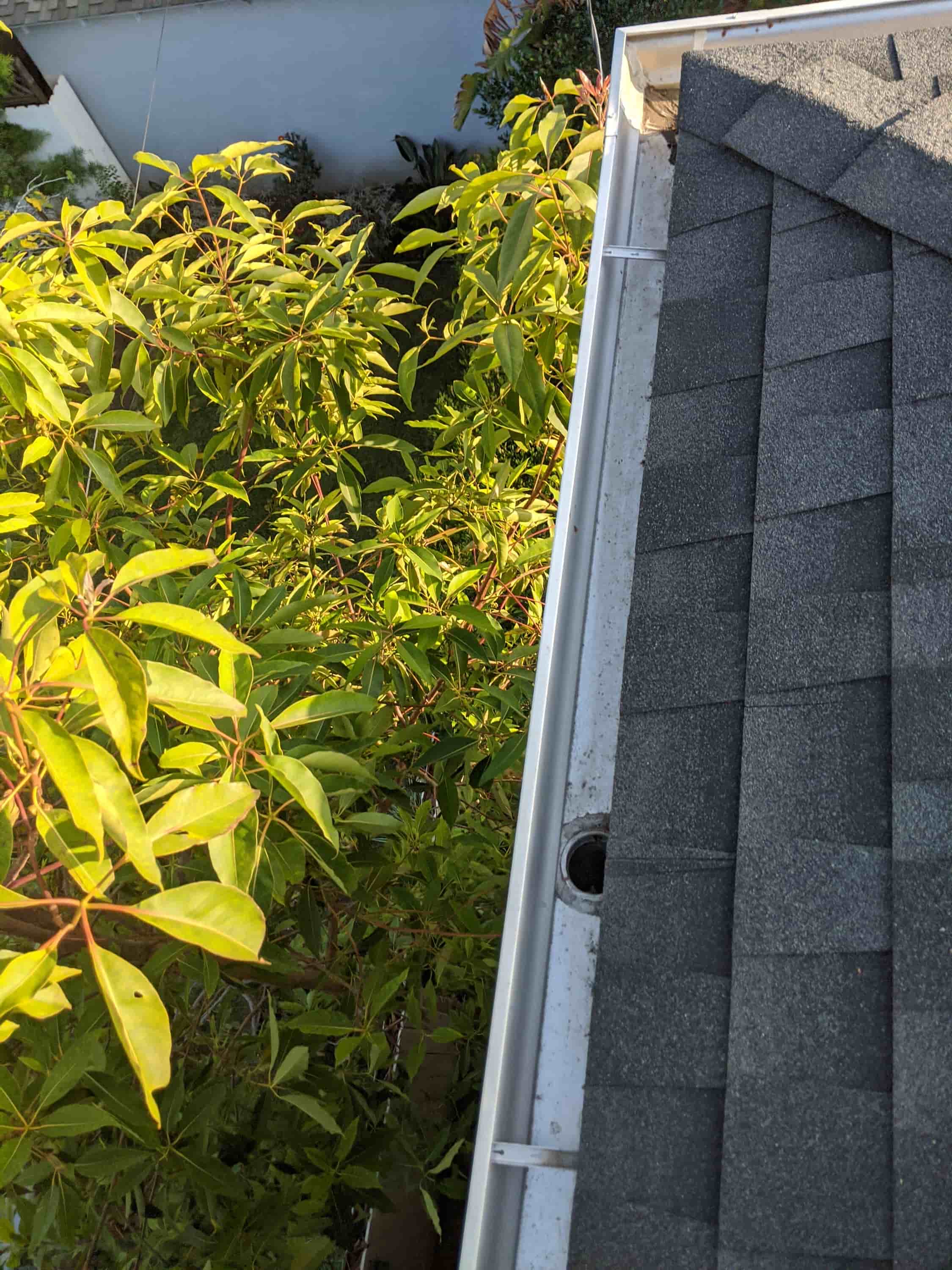 gutter cleaning with gutter guards