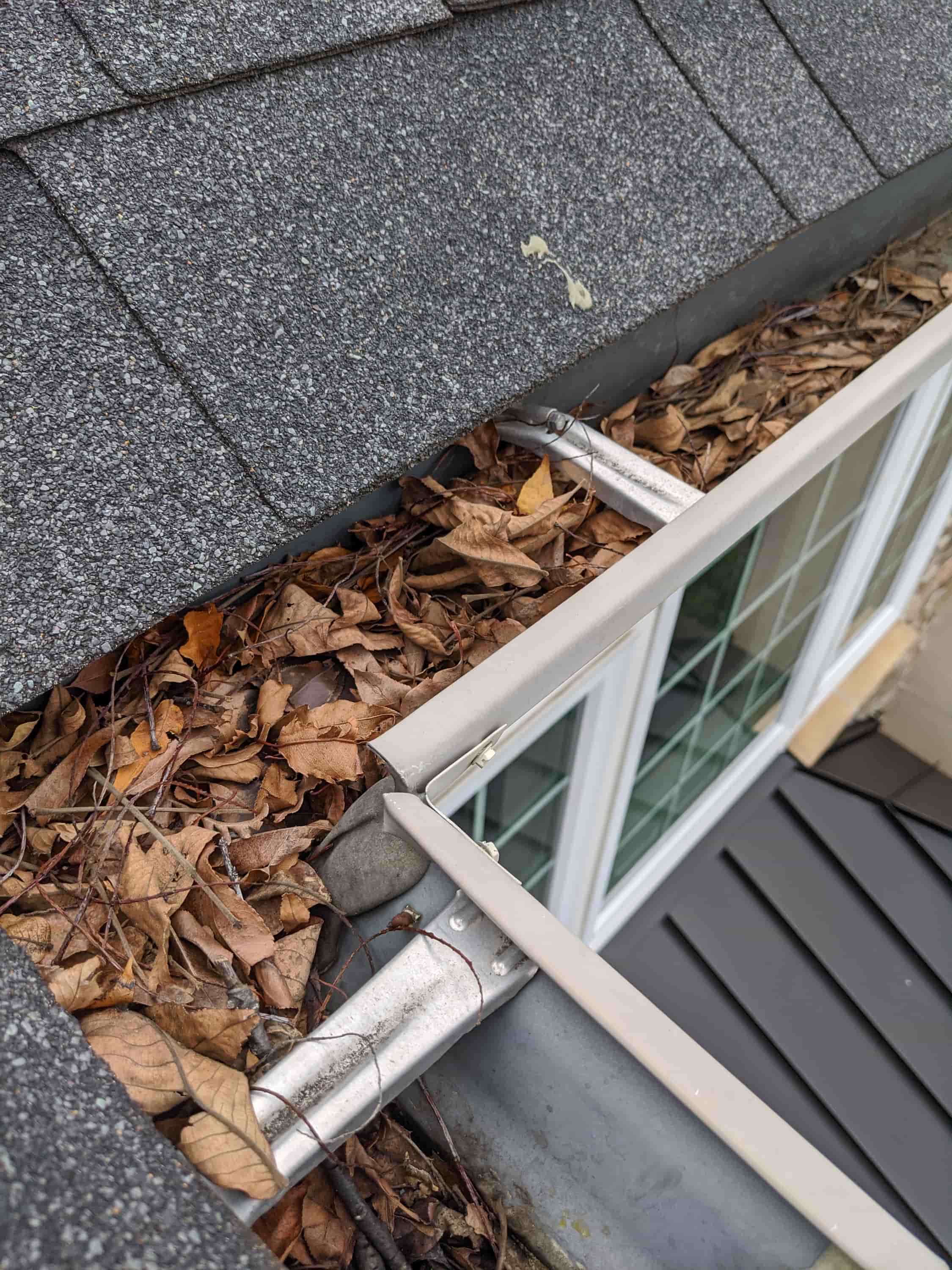 gutter cleaning spring