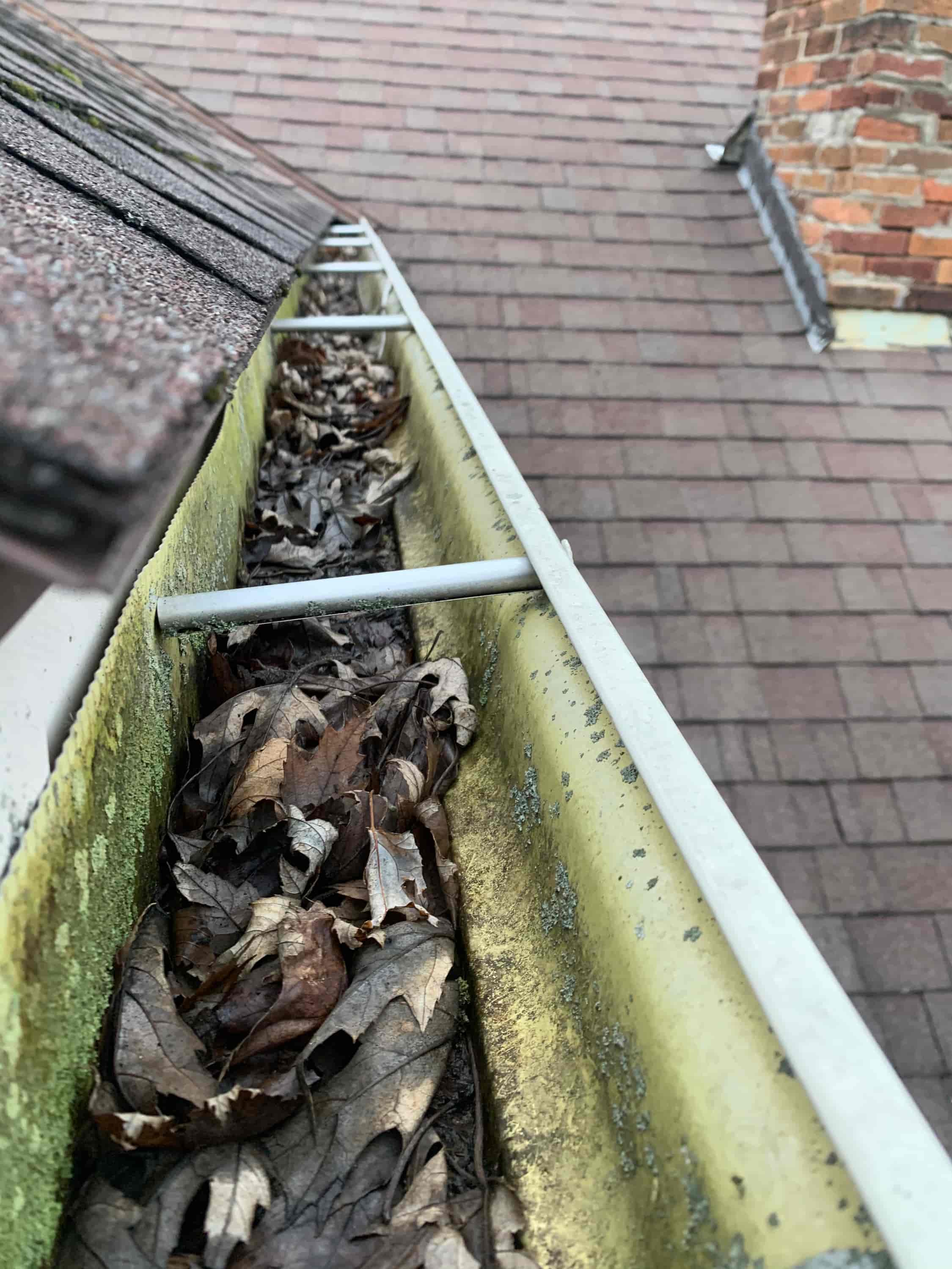 clean gutters with gutter guards