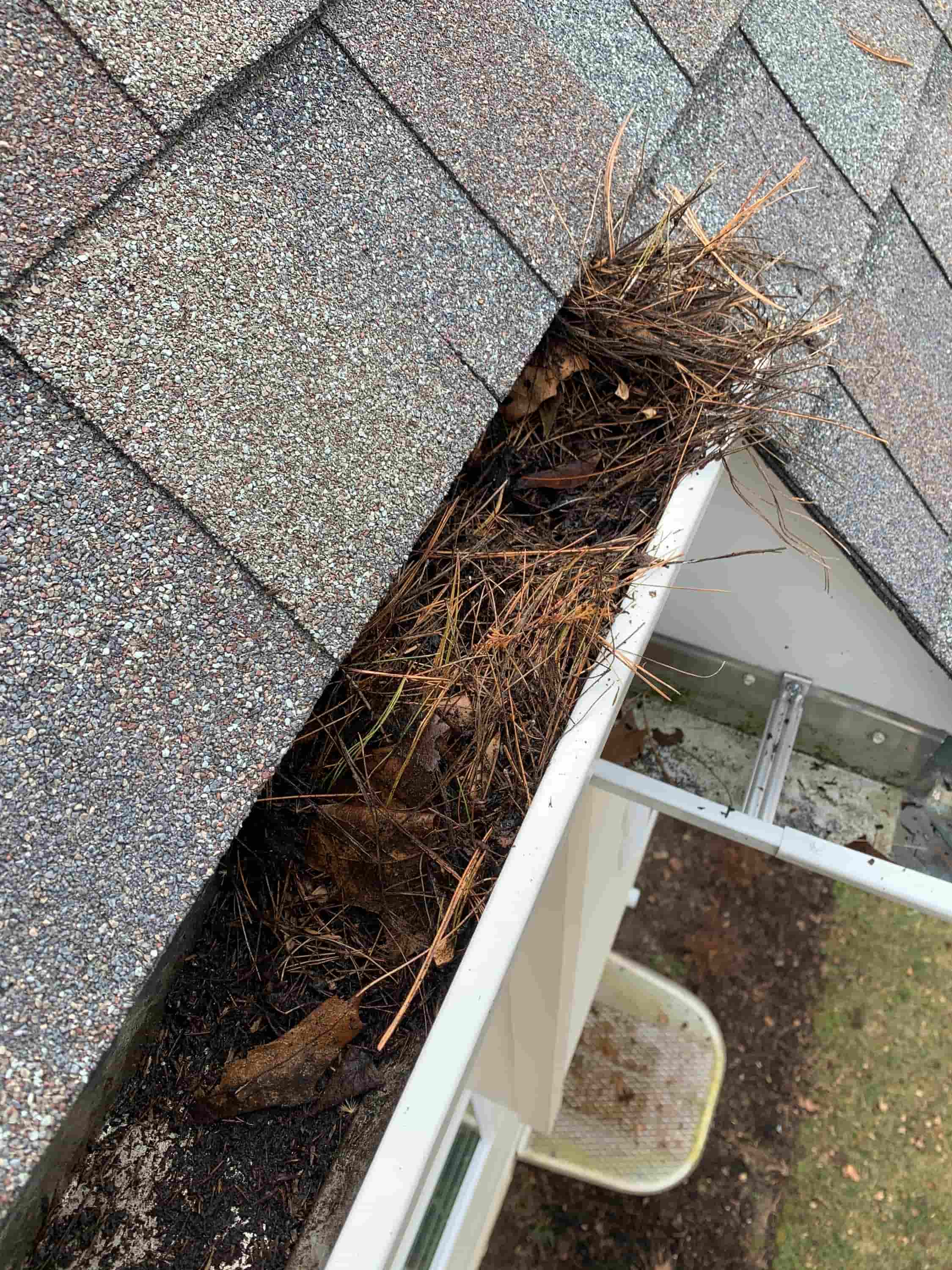 best time to clean gutters