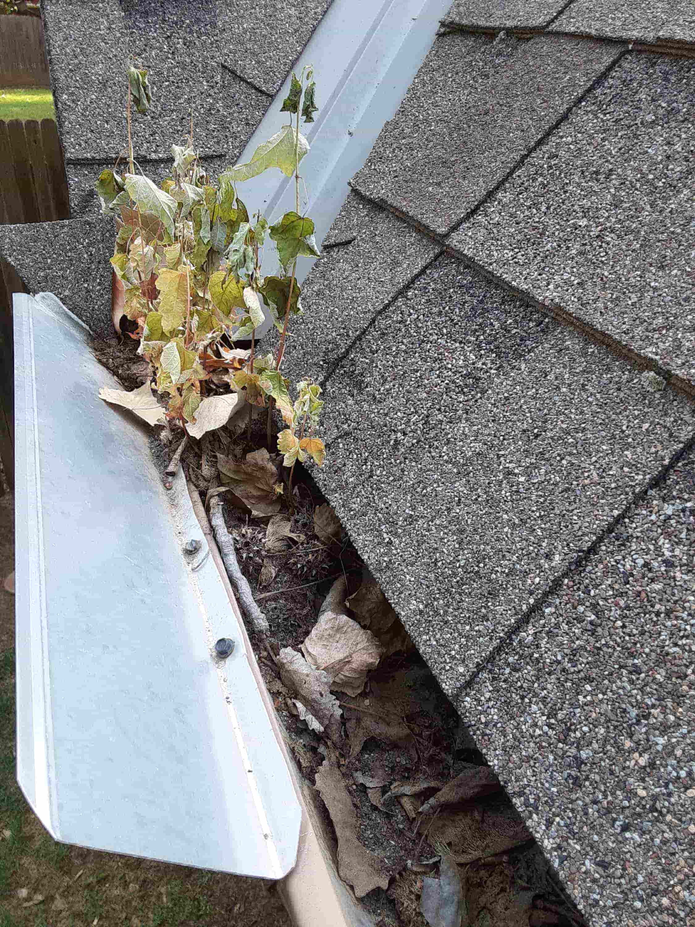 gutter cleaner wand lowes