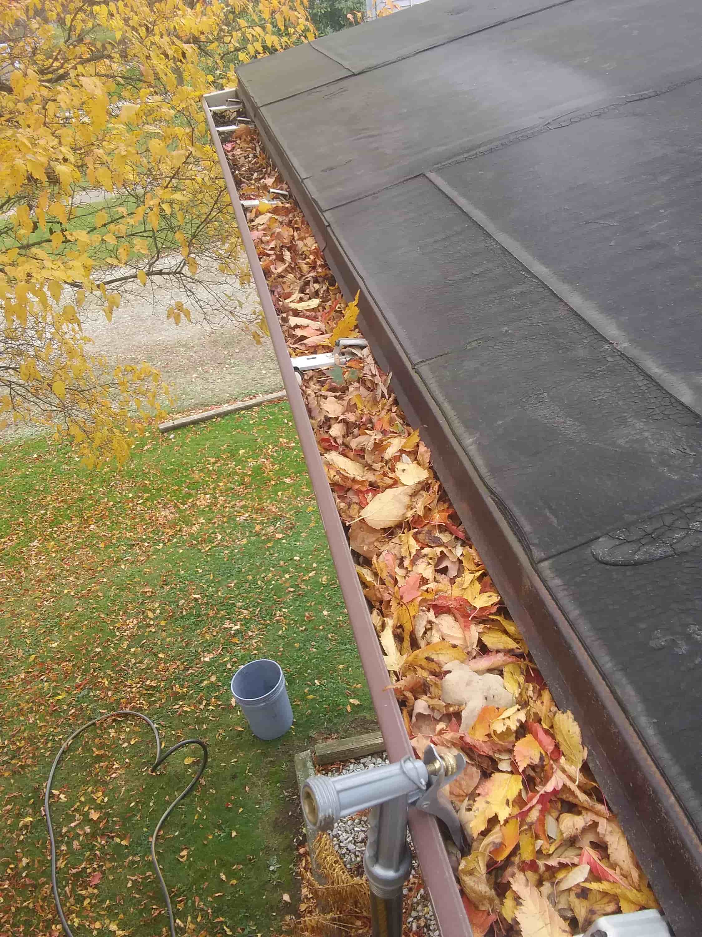 gutter and fascia cleaning