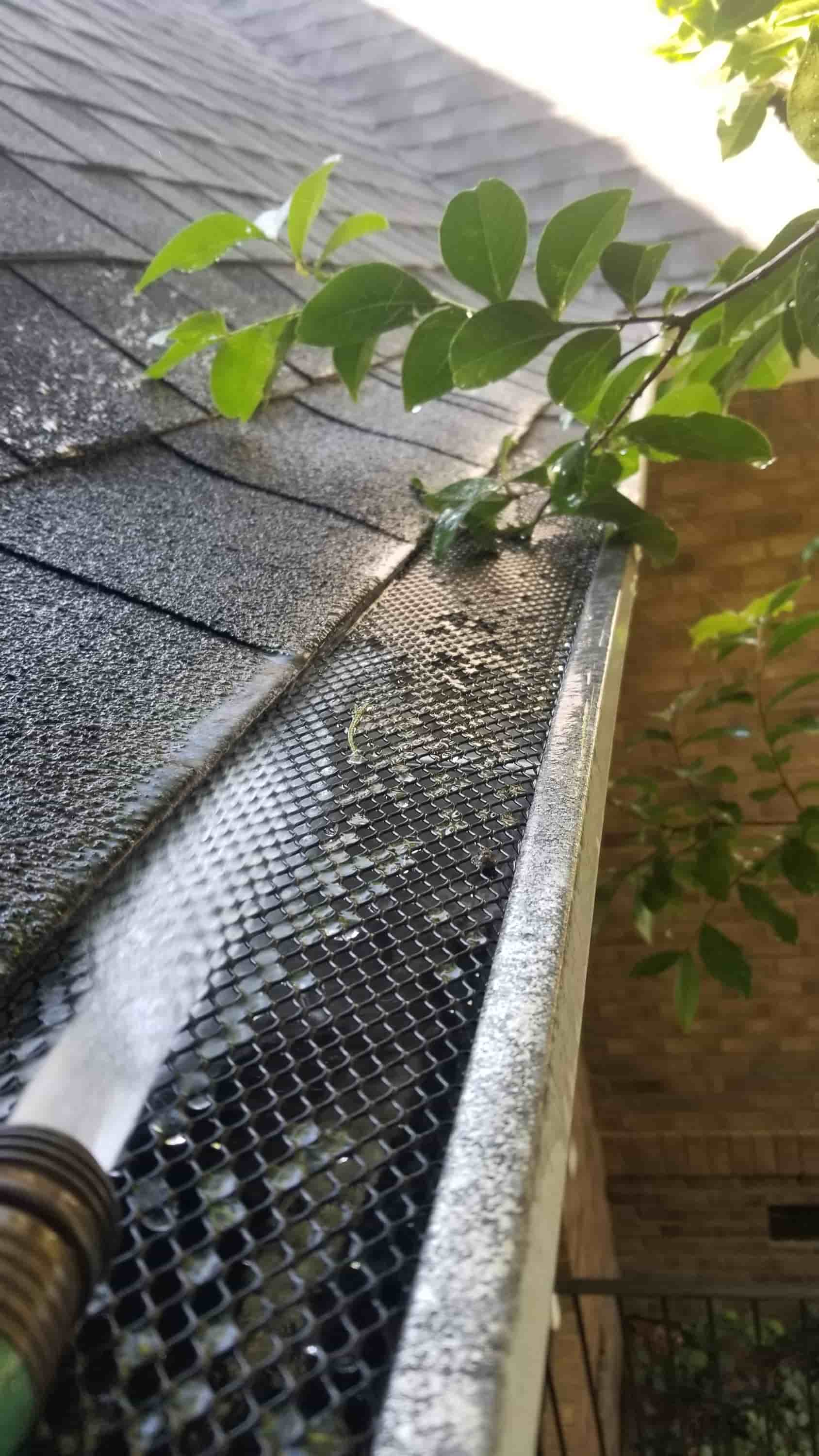 best way to clean out gutters